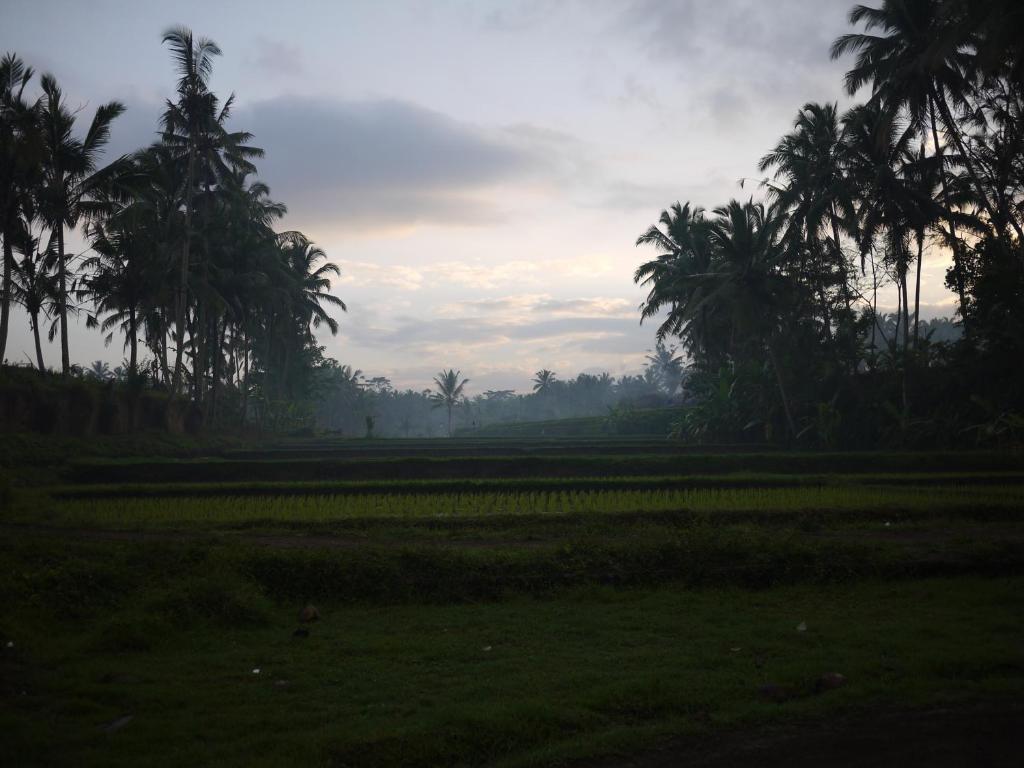 Villa Ibu Rama Ubud Денпасар Екстер'єр фото